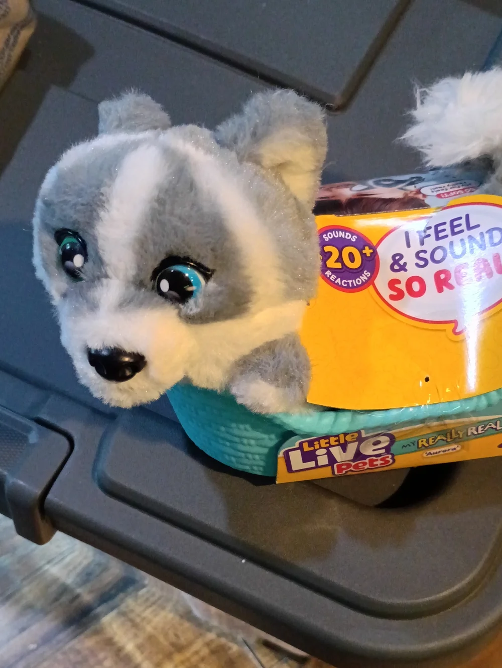 Plush Small Pet Toy in Gray with Teal Bed - Brand:
